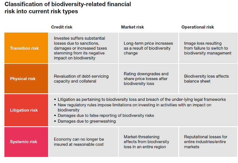 what-are-the-5-types-of-risk-management